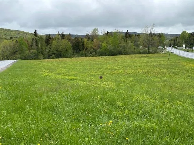 $539,000 | 309 Vermont Rte 100, West Dover, VT 05356