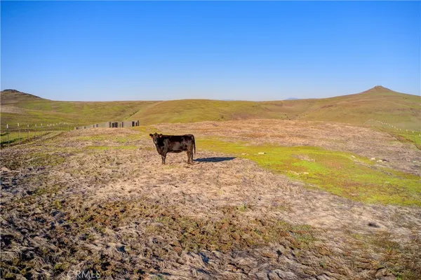 $65,000 | 0 Nelson Avenue, Oroville, CA 95965