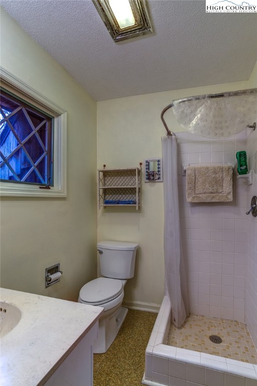 208 Spring Branch Road Beech Mountain, NC 28604 - Photo 19 of 32 Gallery Image 19