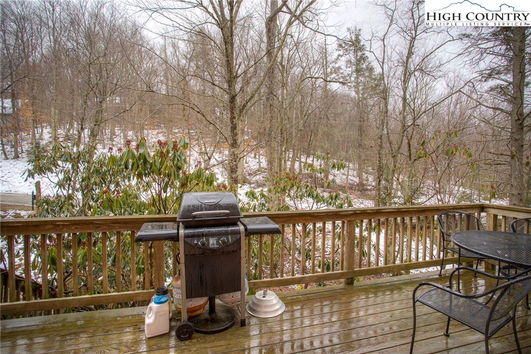 208 Spring Branch Road Beech Mountain, NC 28604 - Photo 21 of 32 Gallery Image 21