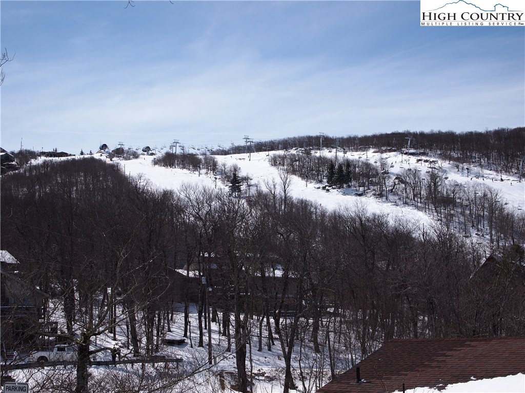 208 Spring Branch Road Beech Mountain, NC 28604 - Photo 28 of 32 Gallery Image 28