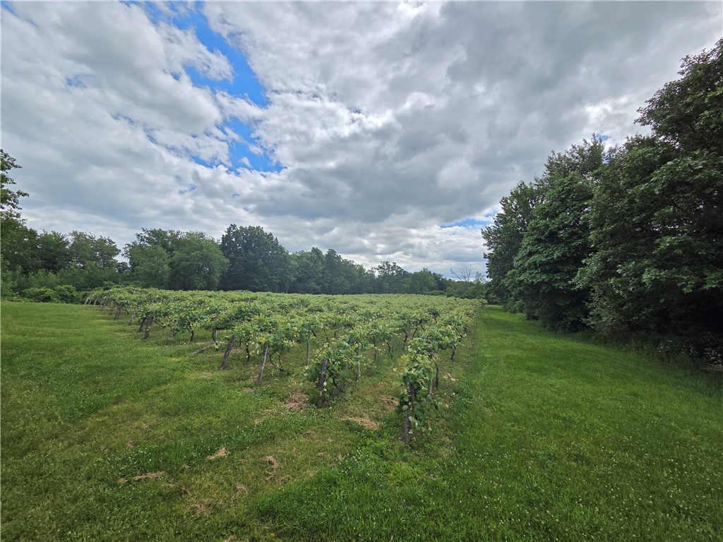 Sutton Road Penn Yan, NY 14527 - Photo 18 of 46 Gallery Image 18