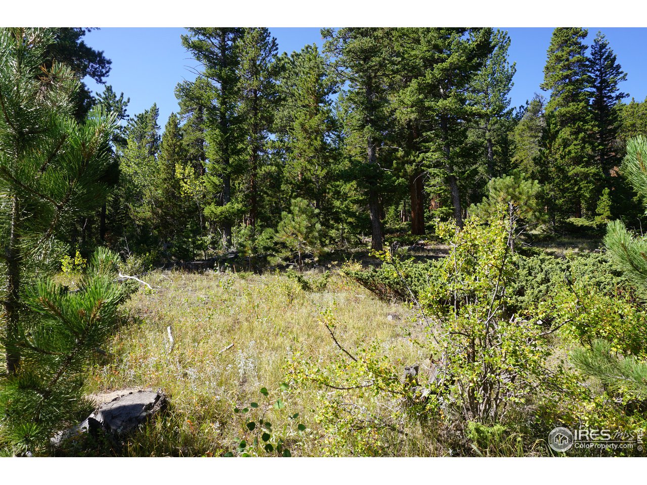 280 Ironclad View Road Allenspark, CO 80510 - Photo 17 of 21 Gallery Image 17