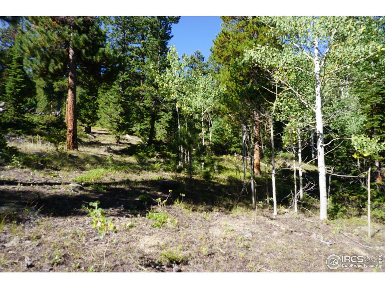 280 Ironclad View Road Allenspark, CO 80510 - Photo 3 of 21 Gallery Image 3