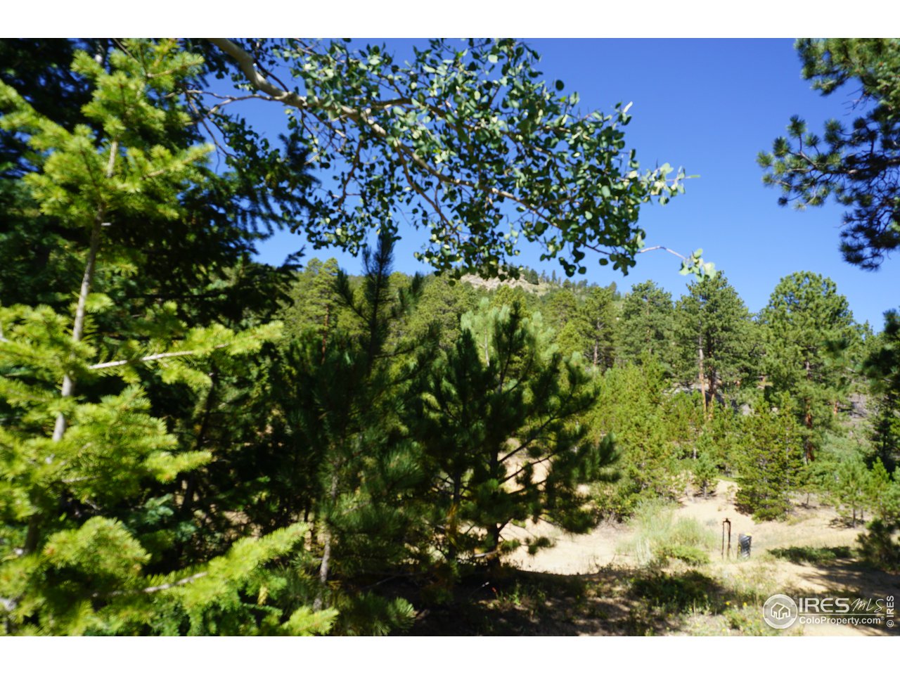 280 Ironclad View Road Allenspark, CO 80510 - Photo 9 of 21 Gallery Image 9