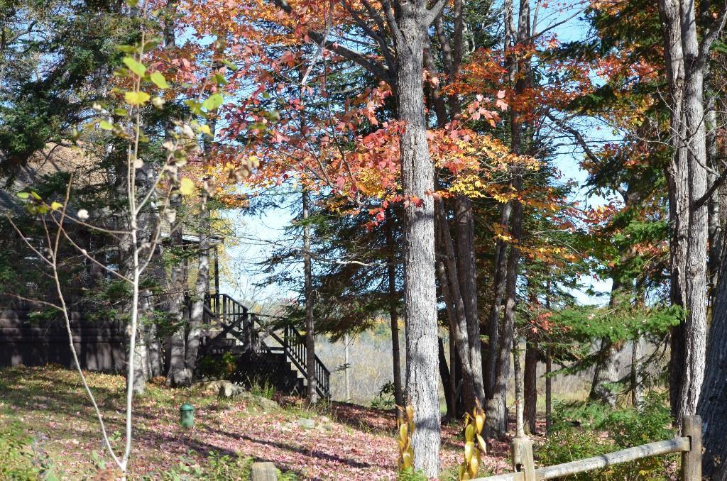 50 Buzzell Road Stetson, ME 04488 - Photo 24 of 24 Photo