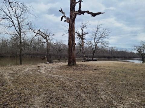 175 Clarence Hildebrand Road Pollock, LA 71467 - Photo 23 of 25 Gallery Image 23
