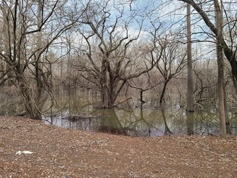 175 Clarence Hildebrand Road Pollock, LA 71467 - Photo 24 of 25 Gallery Image 24