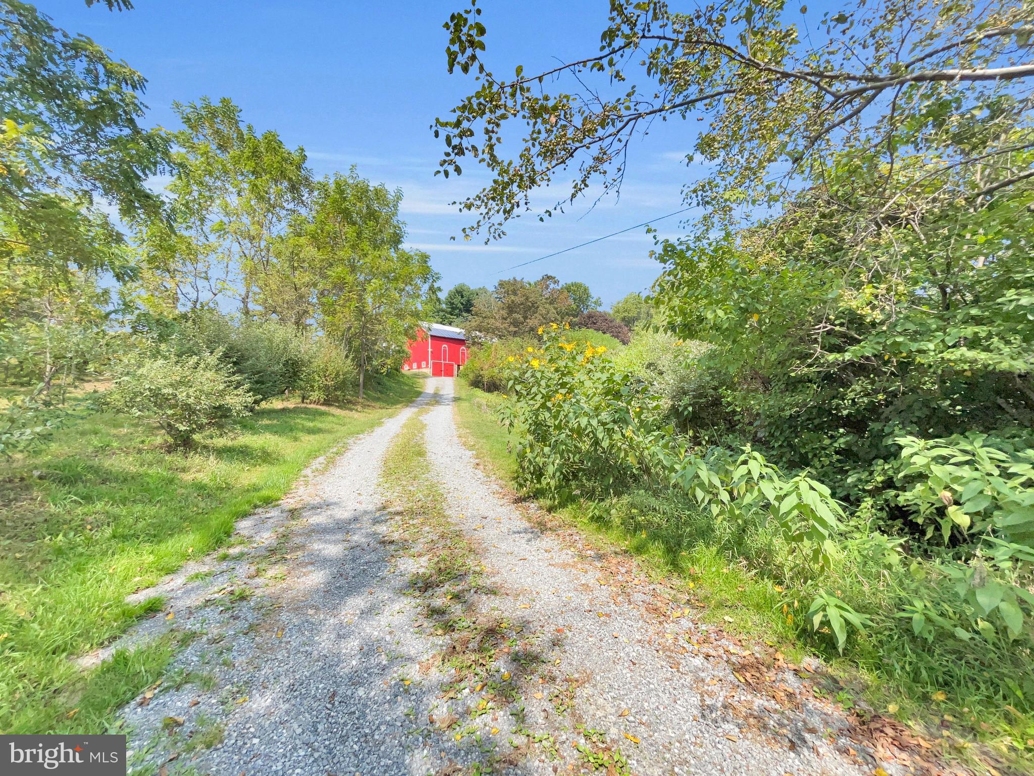 1095 Texter Mountain Road Denver, PA 17517 - Photo 2 of 78 Set back from the road