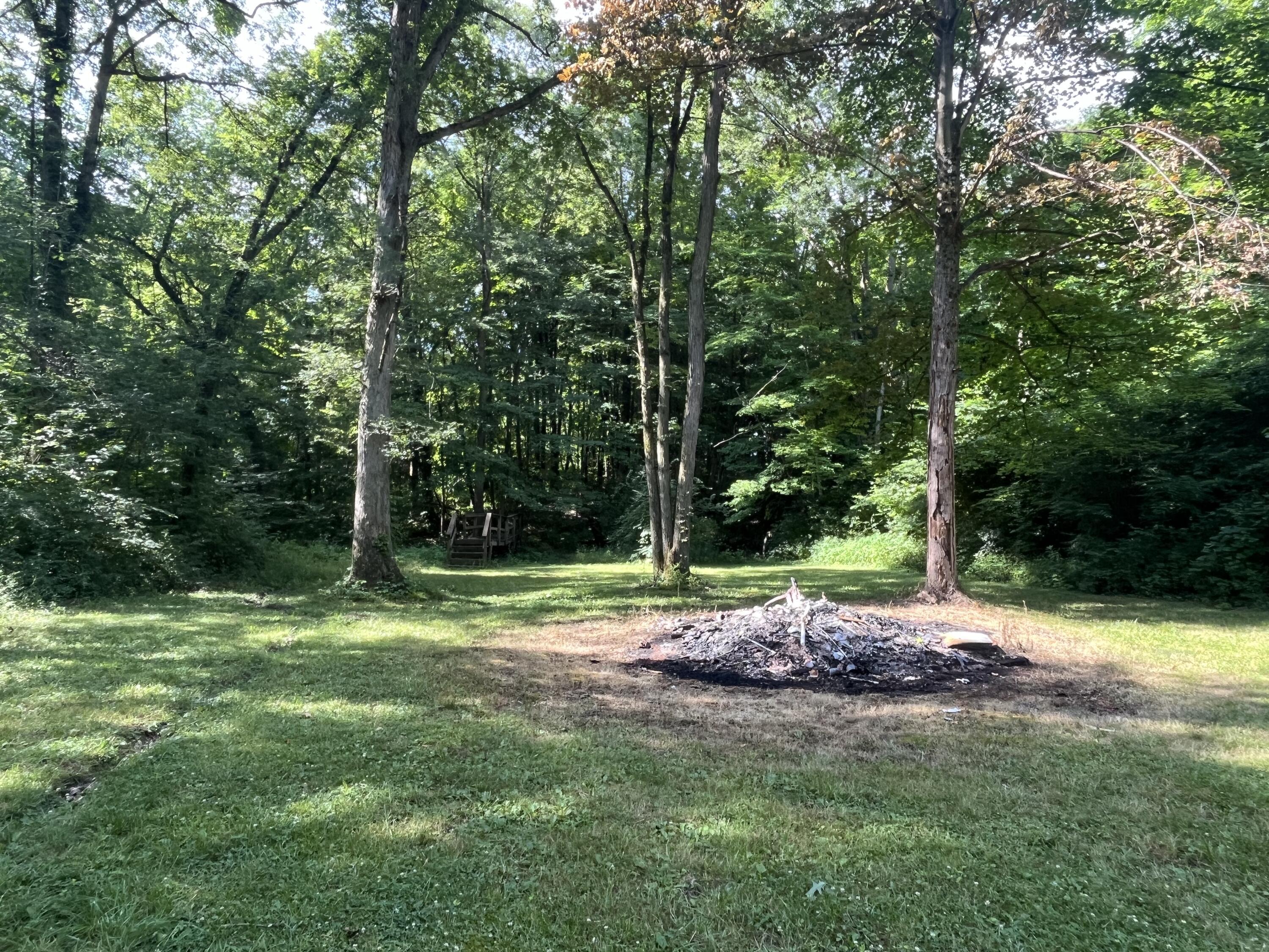 213 Union Street Fulton, OH 43321 - Photo 7 of 16 Wooded View