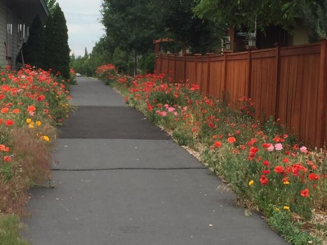 803 Northwest 18th Court Redmond, OR 97756 - Photo 8 of 8 Pedestrian path to the Park