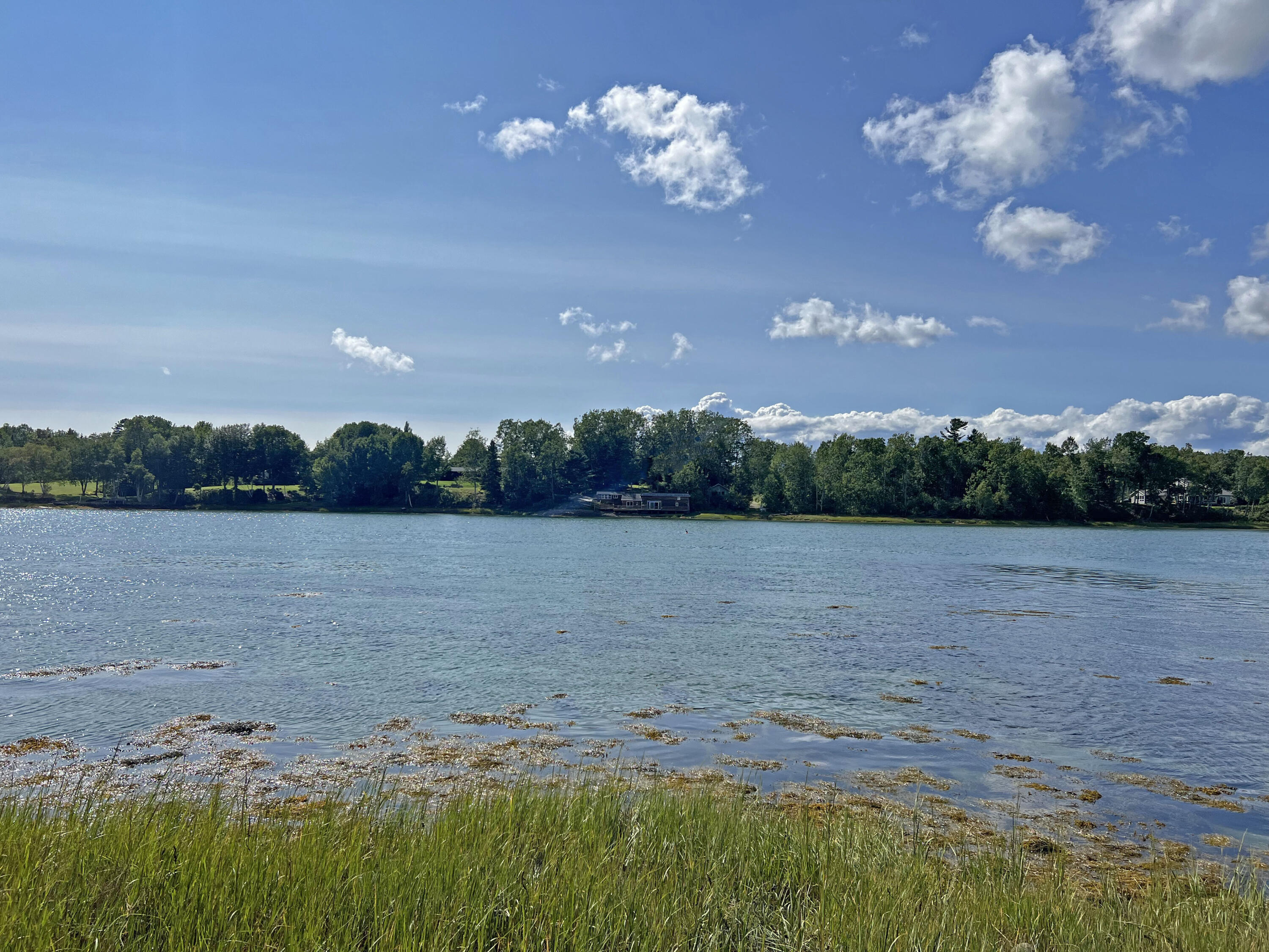 0 Shore Road Lamoine, ME 04605 - Photo 12 of 12 2a