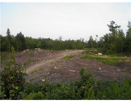 205 Old Elder Road Gray, ME 04039 - Photo 10 of 29 Other. Log landing often creats a...