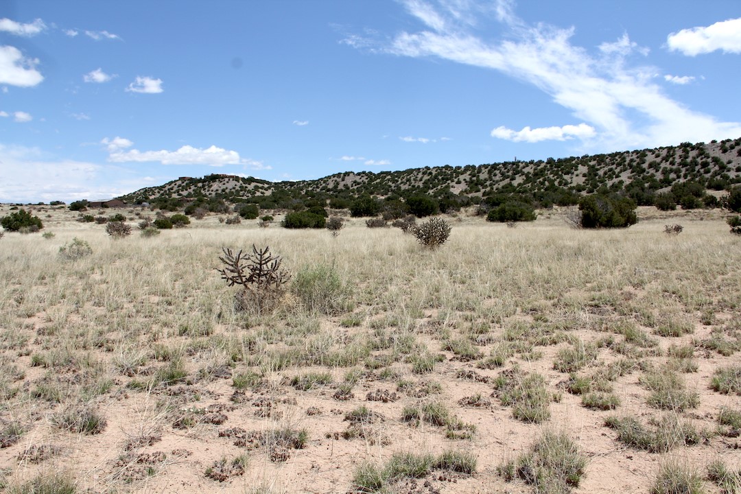11.5 Pinon Road Abiquiu, NM 87510 - Photo 5 of 12