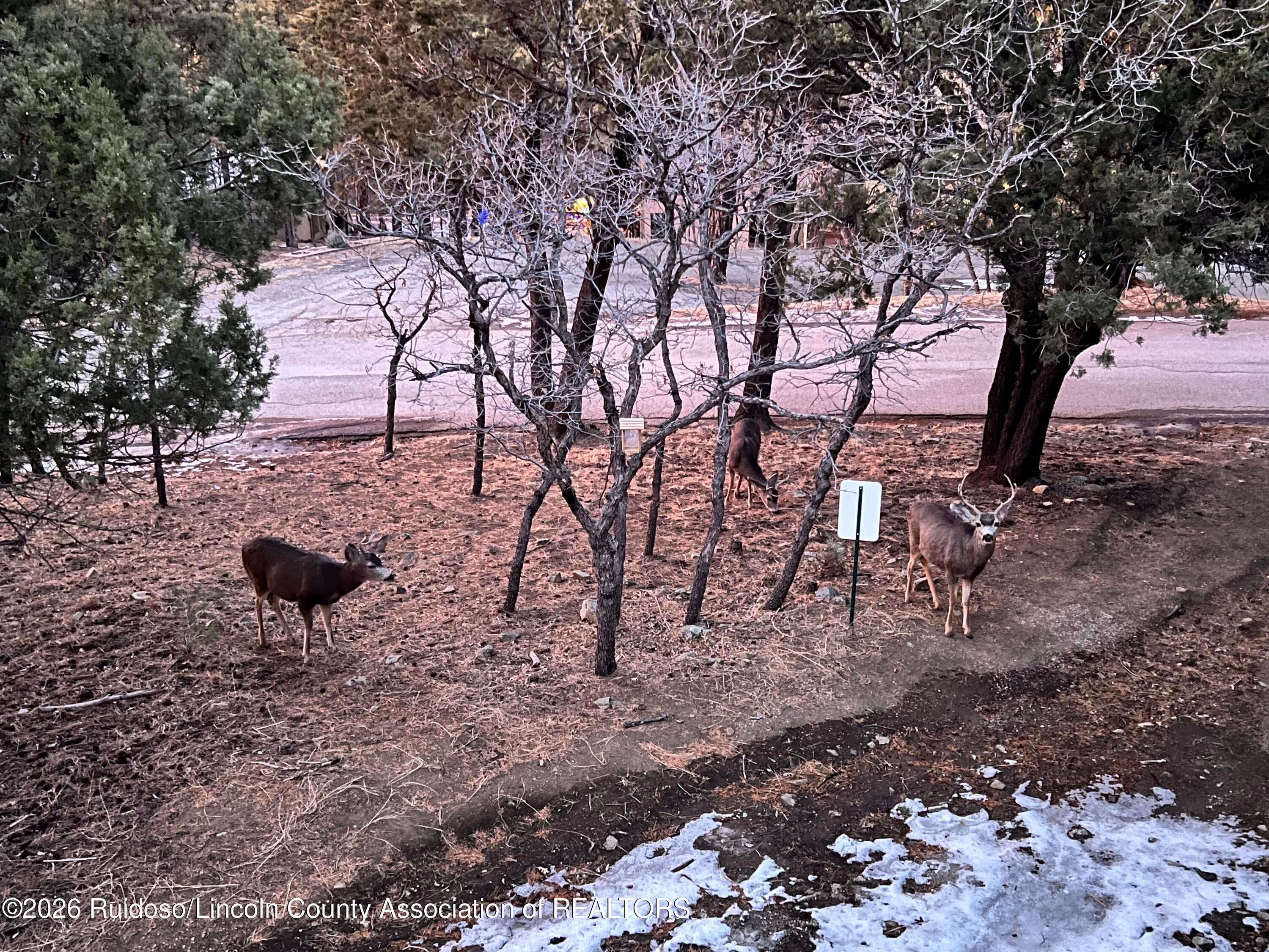 129 Alto Alps Road, Unit 5 Alto, NM 88312 - Photo 59 of 63 Gallery Image 59