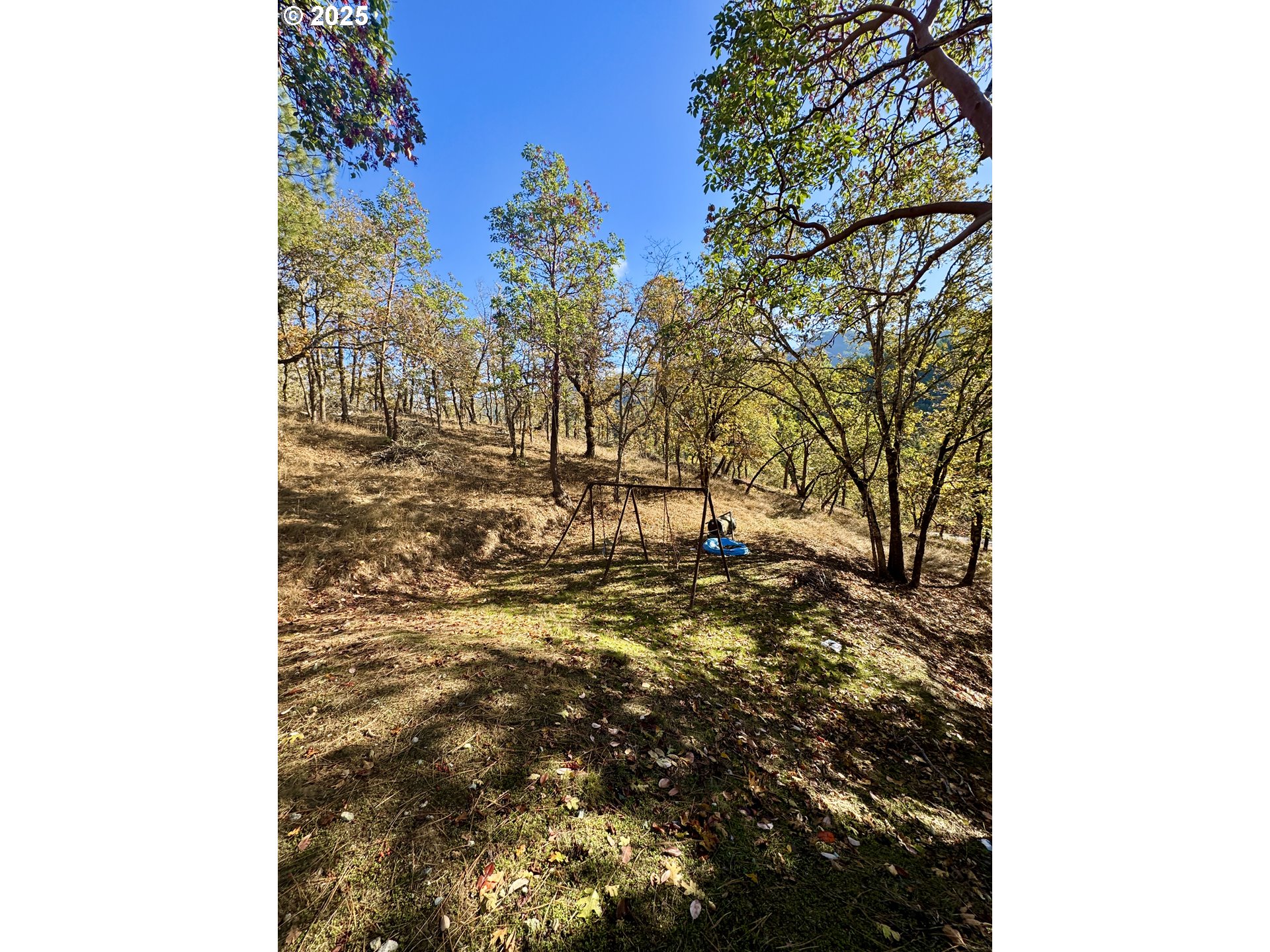 2263 Canyonville-Riddle Road Riddle, OR 97469 - Photo 20 of 36 a view of a yard with plants and trees