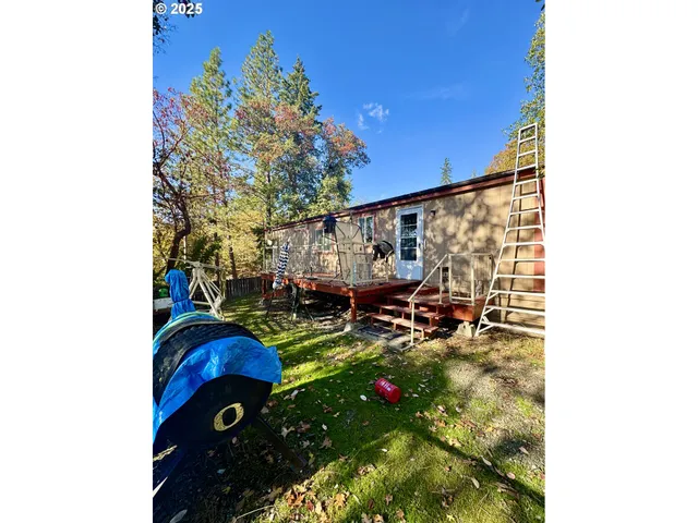 a view of a forest with trees