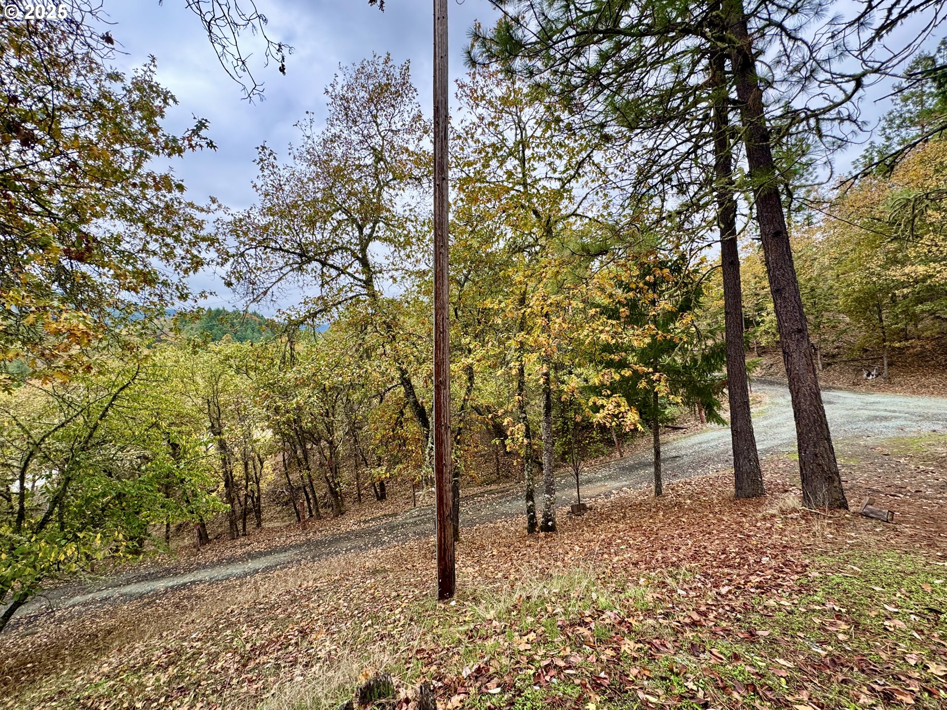 2263 Canyonville-Riddle Road Riddle, OR 97469 - Photo 25 of 36 a view of a forest with trees