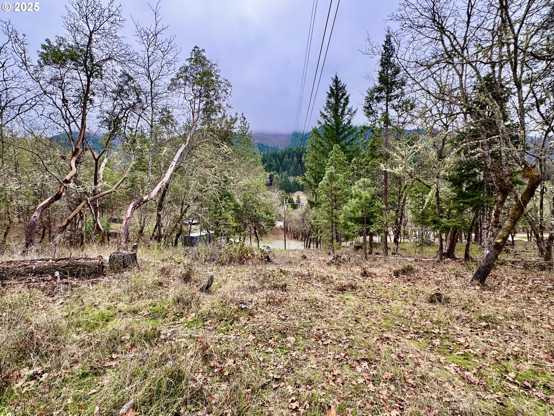 2263 Canyonville-Riddle Road Riddle, OR 97469 - Photo 30 of 36 a view of a yard