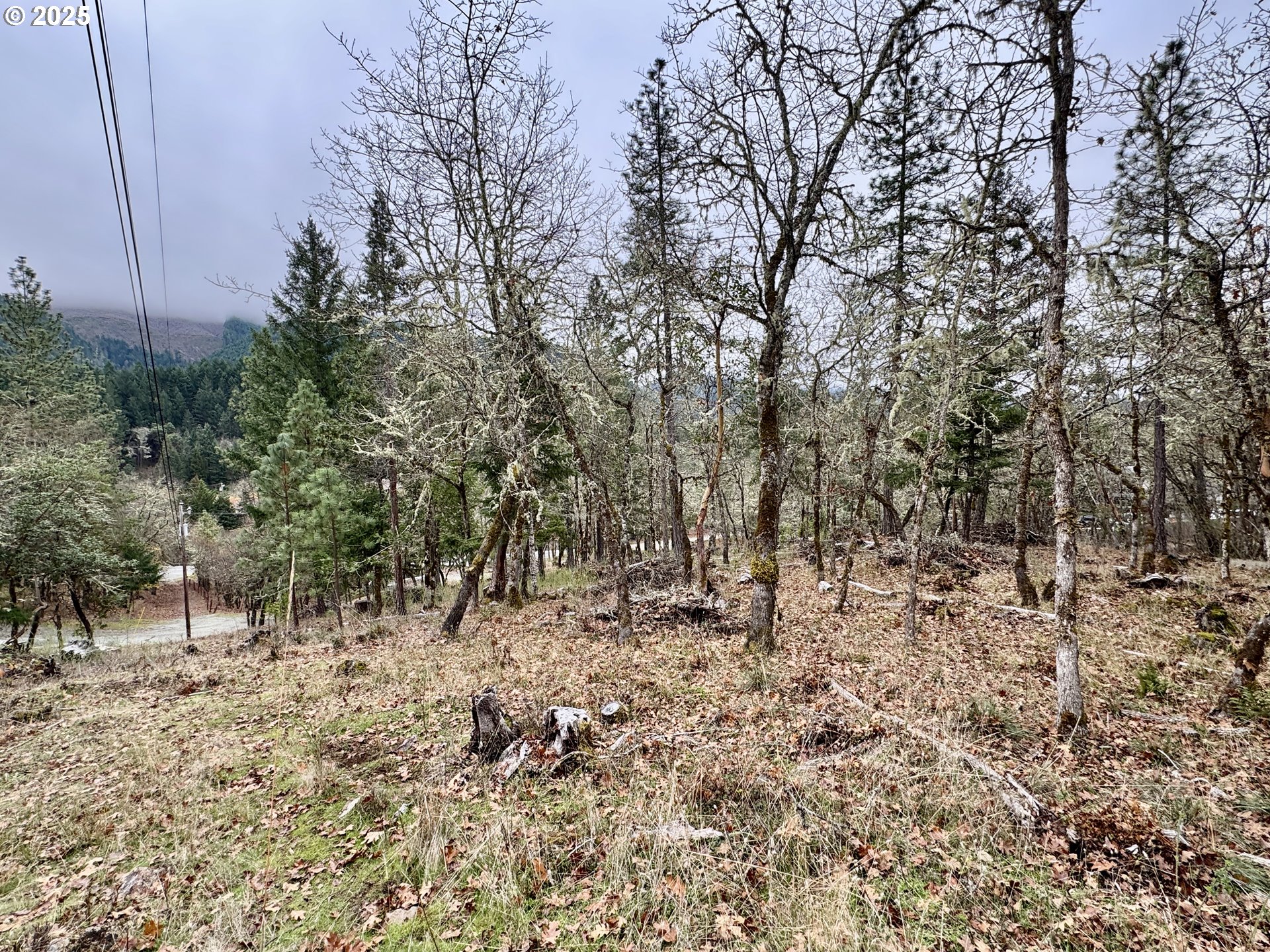 2263 Canyonville-Riddle Road Riddle, OR 97469 - Photo 31 of 36 a view of covered with trees