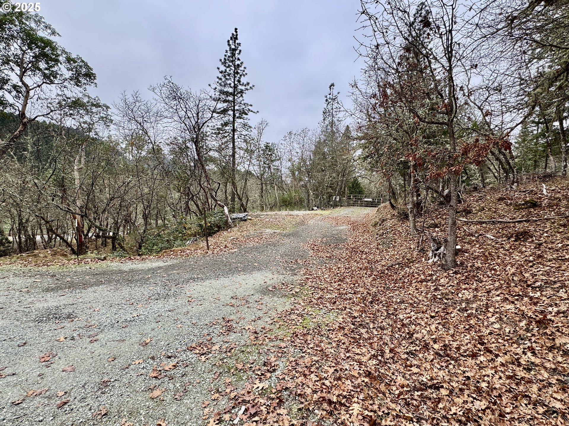 2263 Canyonville-Riddle Road Riddle, OR 97469 - Photo 33 of 36 a view of dirt yard with large trees