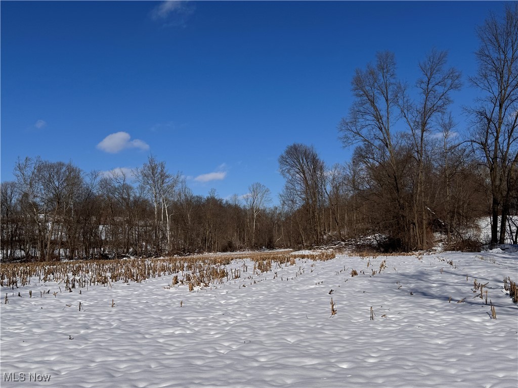 9602 Munson Road Wooster, OH 44691 - Photo 45 of 45 Gallery Image 45