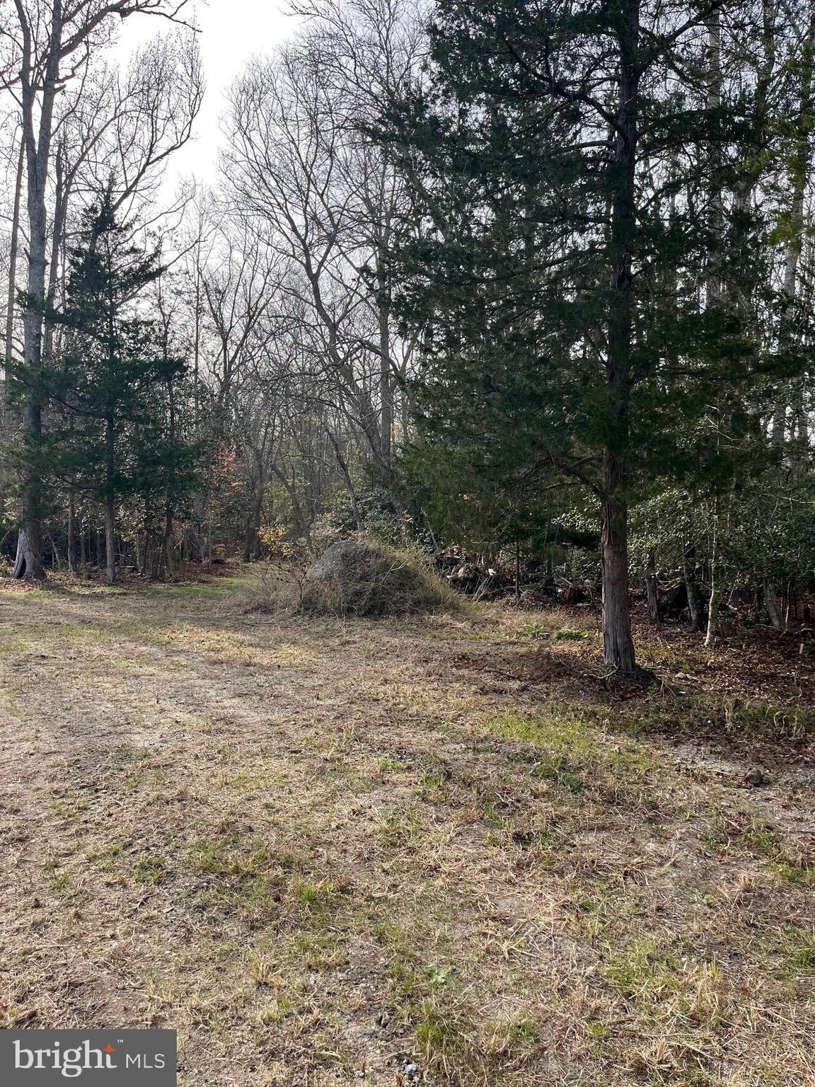 225 Zion Road, Unit 225 Egg Harbor Township, NJ 08234 - Photo 4 of 7 a backyard of a house with lots of green space