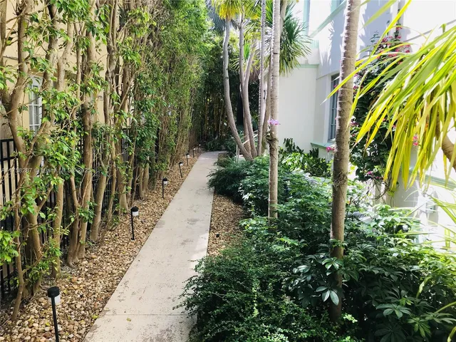 a view of a backyard with plants