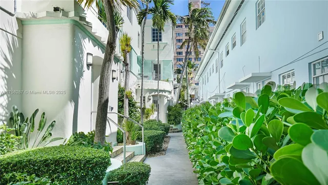 a view of a plant in a garden