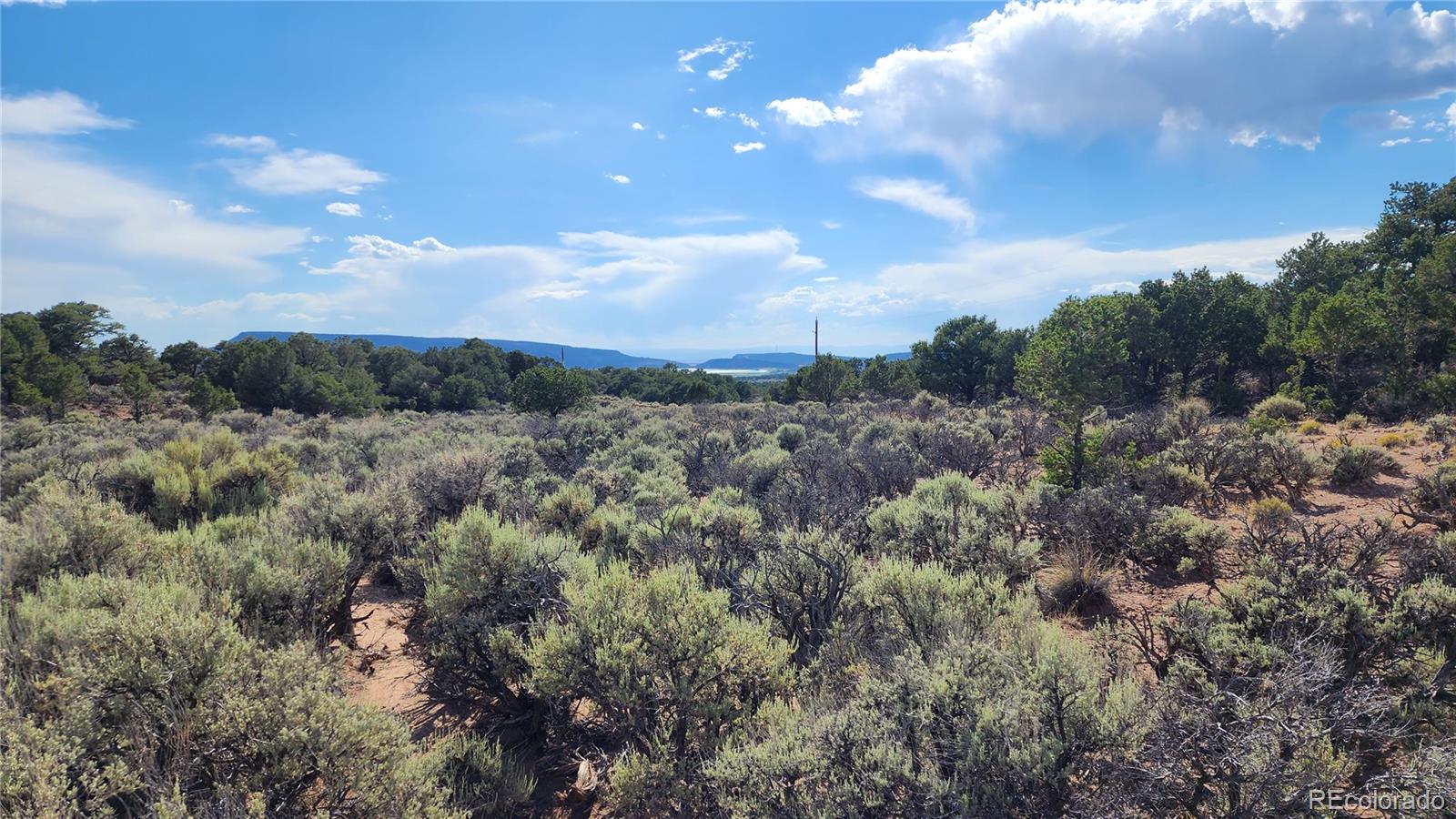 Lot 7071 Cutter Road Fort Garland, CO 81133 - Photo 11 of 28 Gallery Image 11