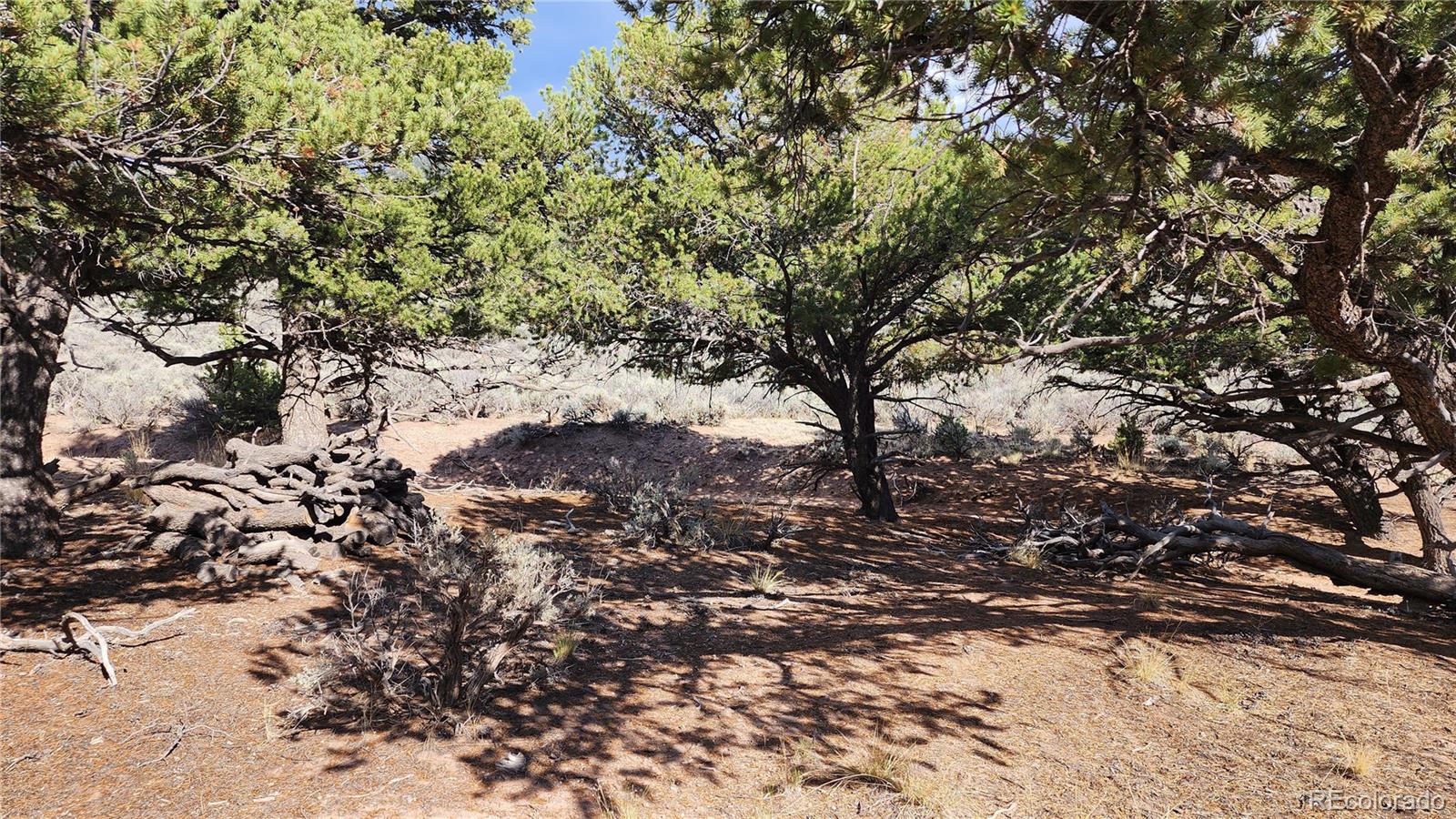 Lot 7071 Cutter Road Fort Garland, CO 81133 - Photo 26 of 28 Gallery Image 26