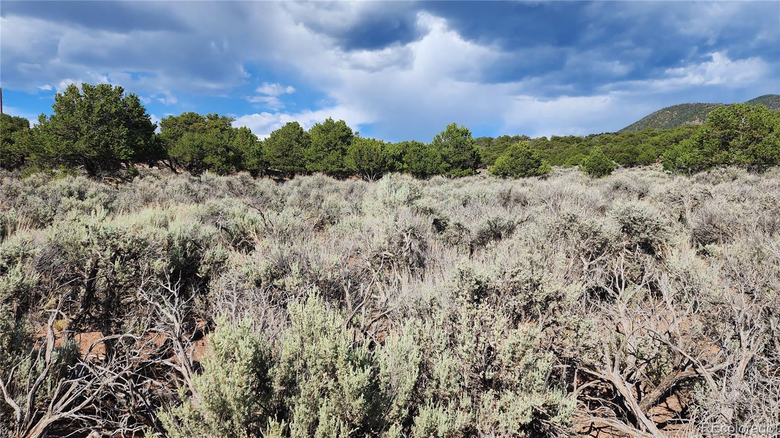 Lot 7071 Cutter Road Fort Garland, CO 81133 - Photo 8 of 28 Gallery Image 8