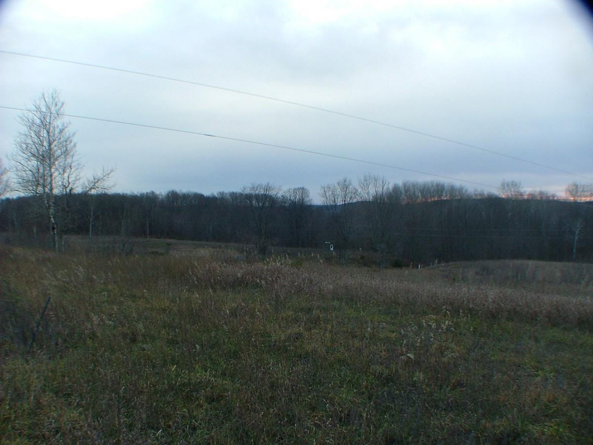 6570 Hillman Road Ellsworth, MI 49729 - Photo 26 of 33 1826565-25.JPG