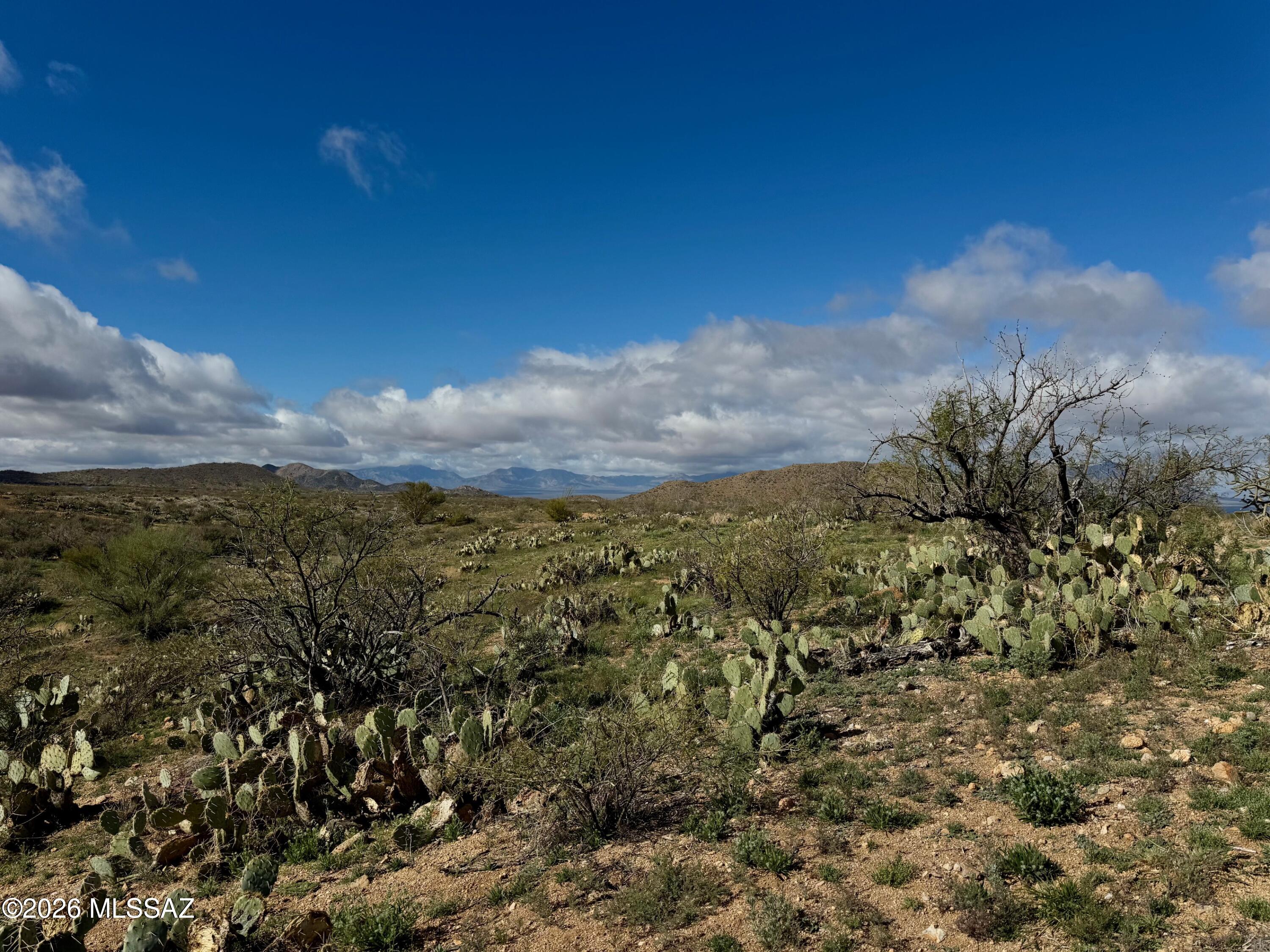 17027 South Sierrita Mountain Road Tucson, AZ 85736 - Photo 10 of 34 a view of a yard