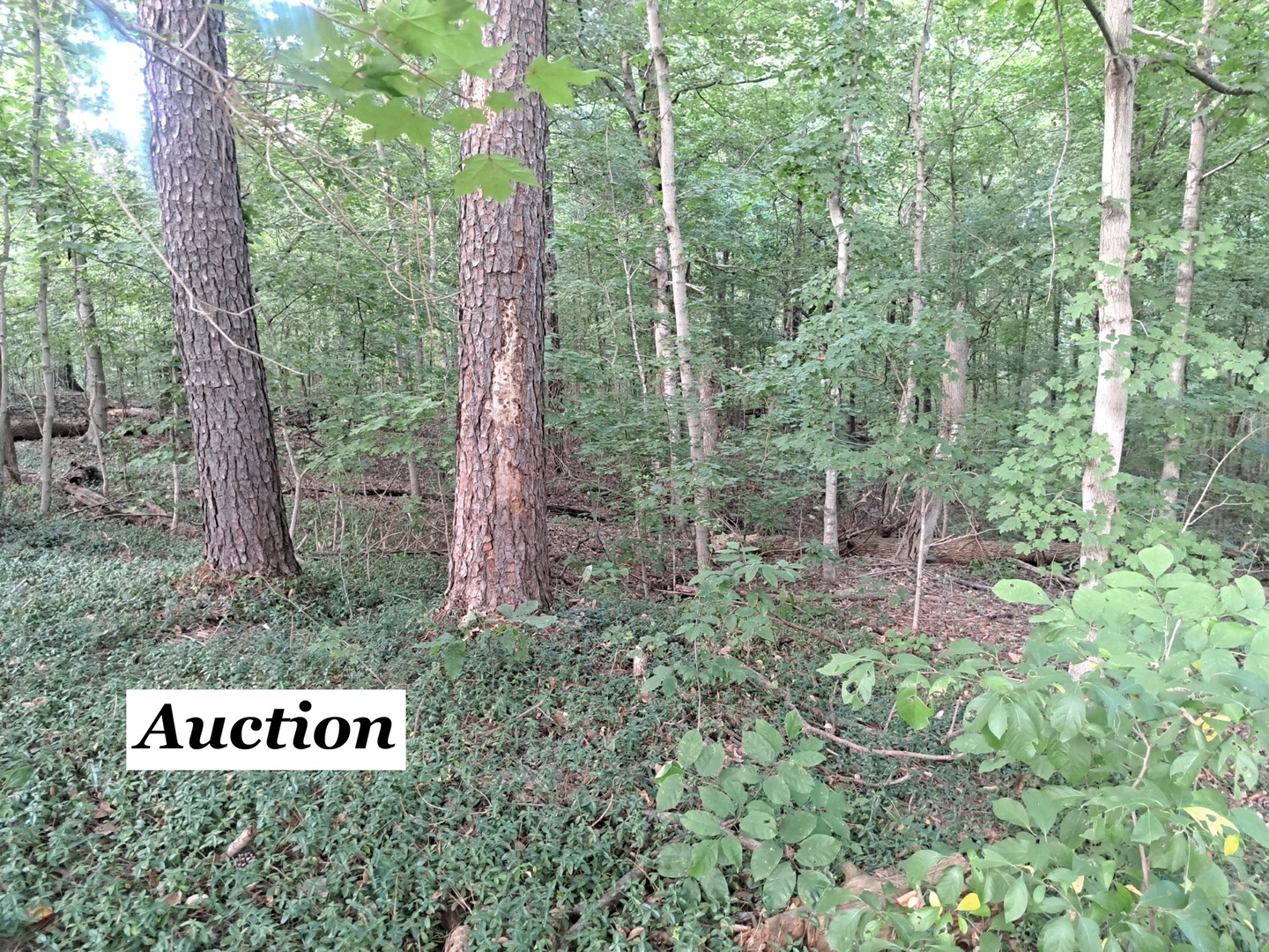 3952-4013 Devils Fork Road Carbondale, IL 62902 - Photo 1 of 9 Gallery Image 1