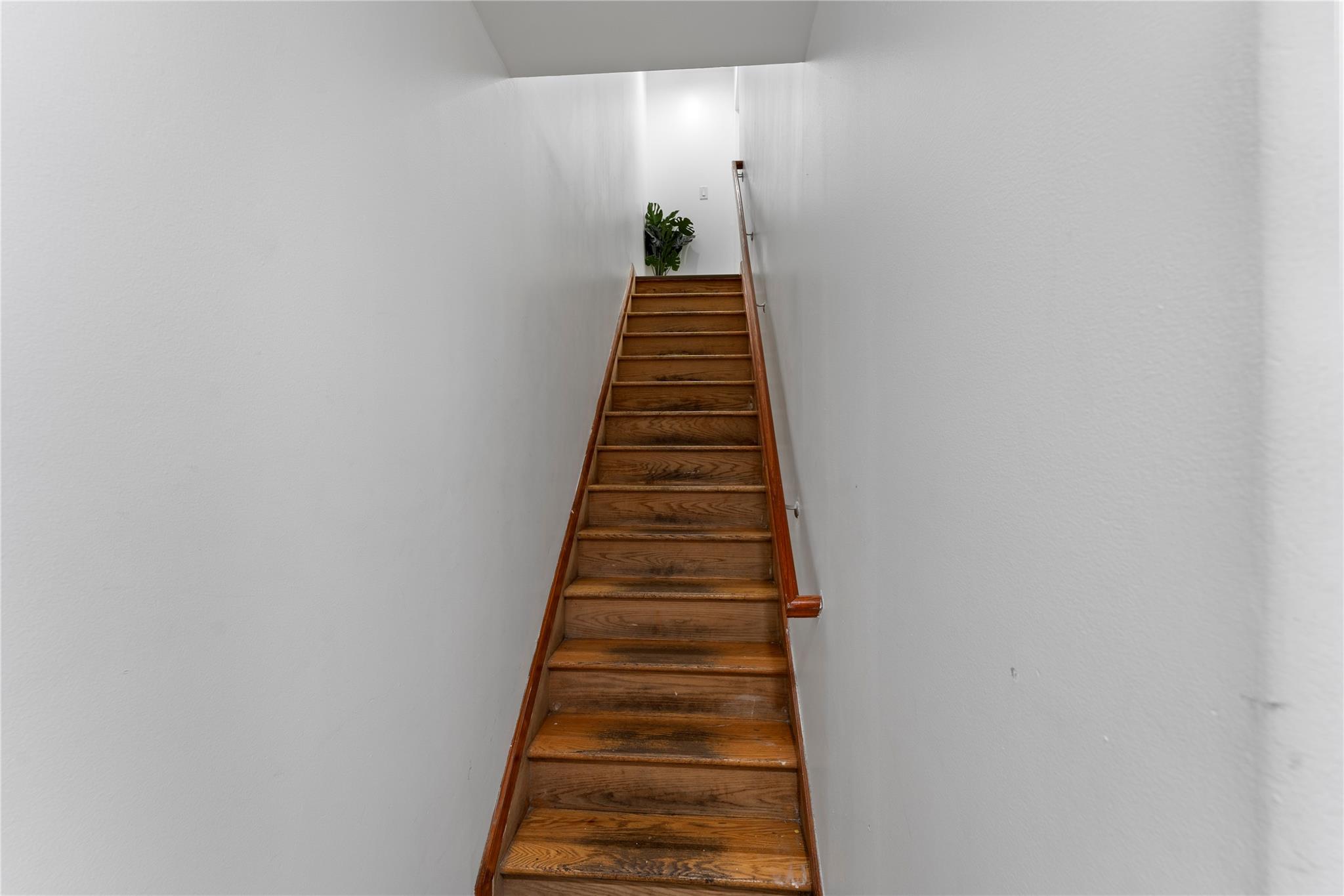 848 Morris Park Avenue Bronx, NY 10462 - Photo 9 of 22 a view of entryway