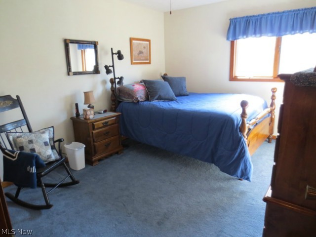 2959 West Windsor Road Orwell, OH 44076 - Photo 10 of 16 Gallery Image 10