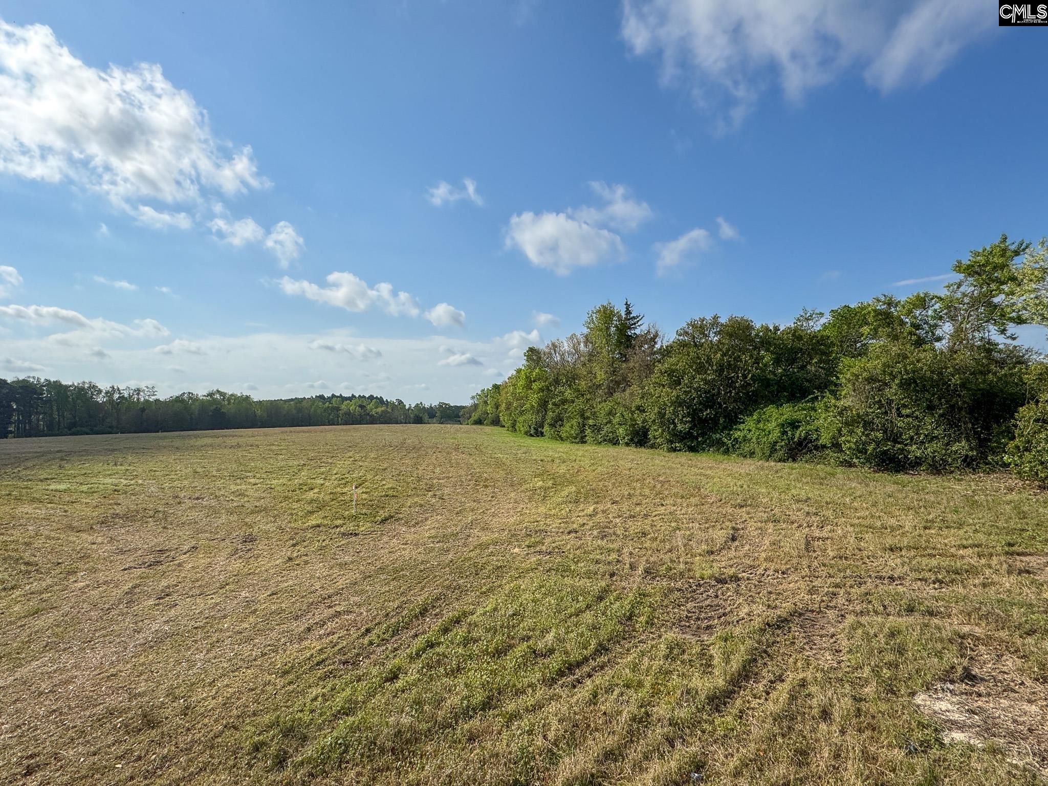 0 Shealy Road, Unit LOT 7 Batesburg, SC 29006 - Photo 1 of 15