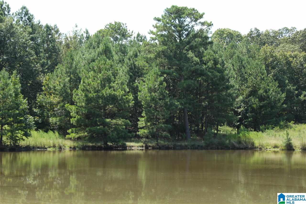 2020 Church Road, Unit 1 Pell City, AL 35128 - Photo 4 of 6