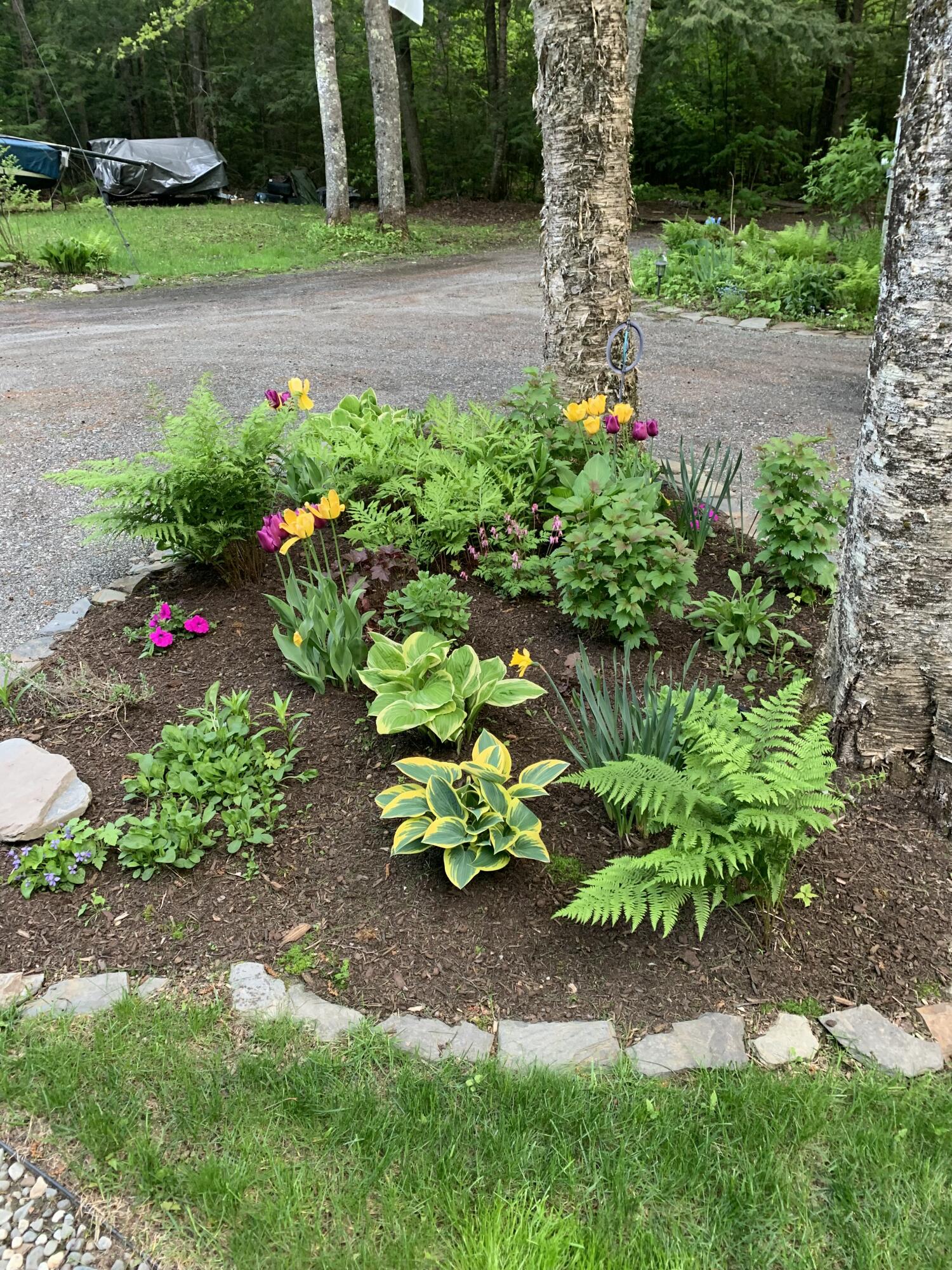 31 Salmon Road Madison, ME 04950 - Photo 2 of 58 IMG_3756