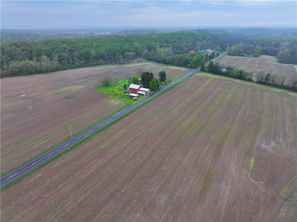 1537 Tyre ( Entire Parcel) Road Clyde, NY 14433 - Photo 6 of 39