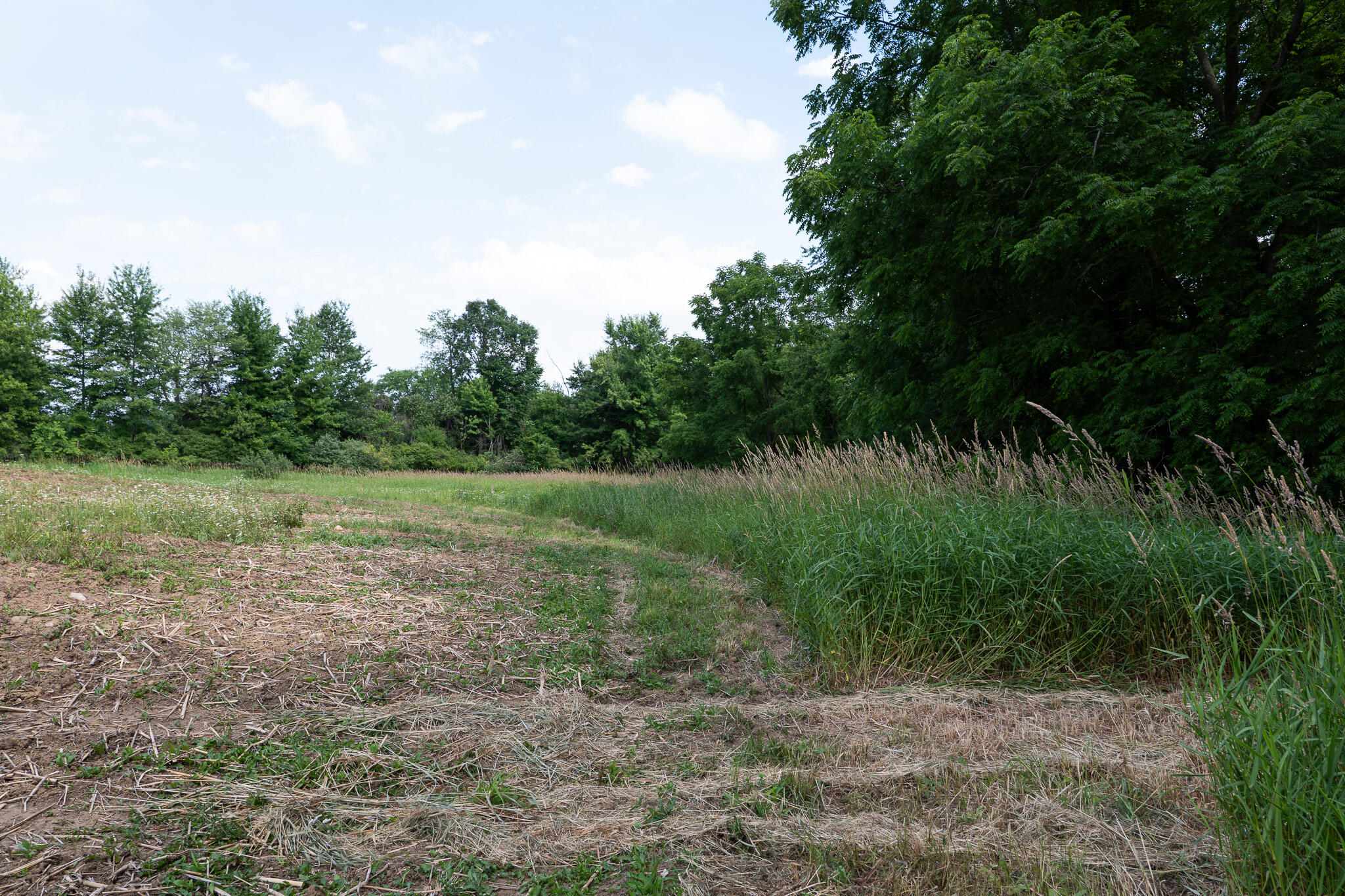 3282 Jerome Road North North Adams, MI 49262 - Photo 24 of 34 P1067862