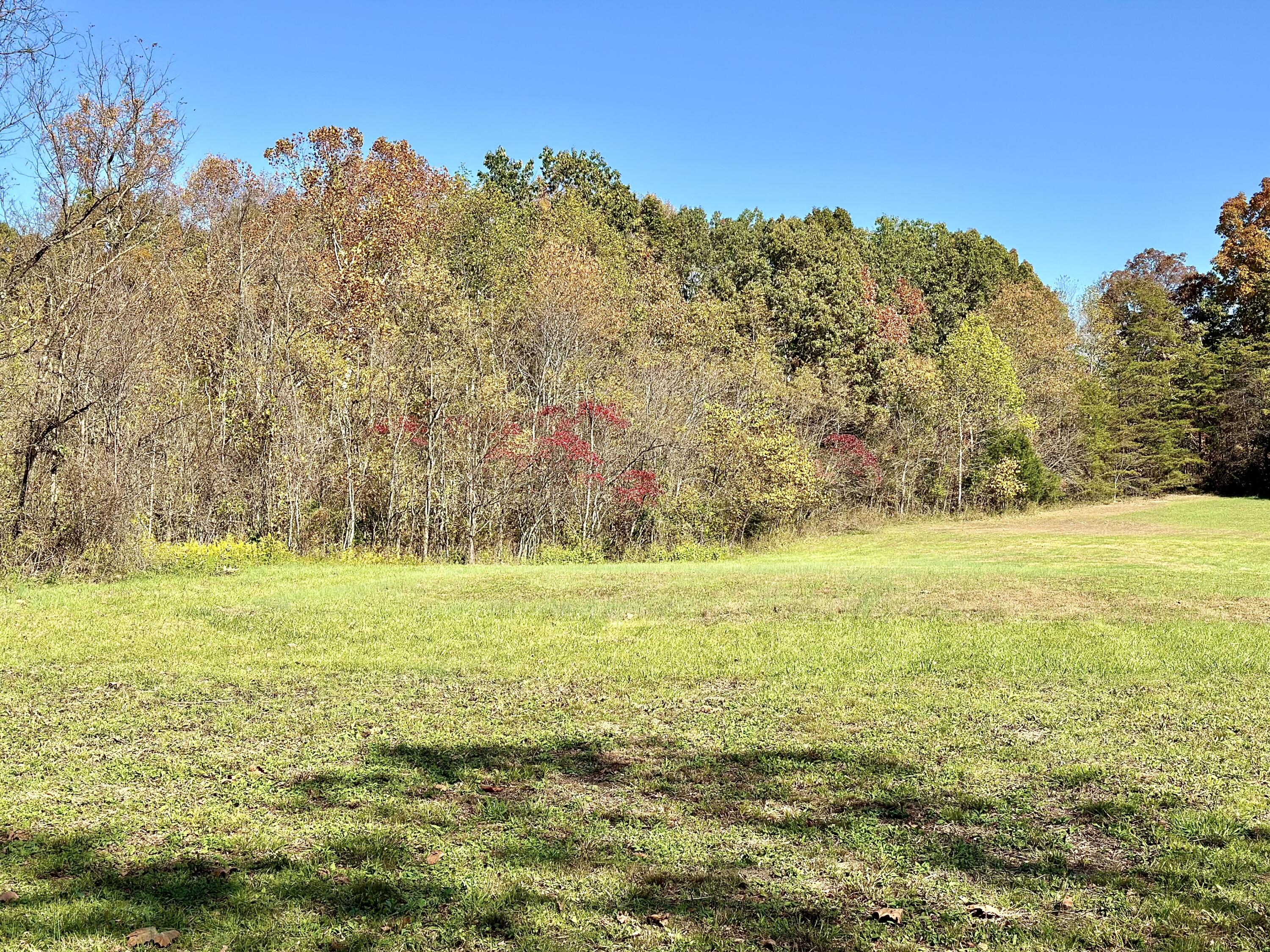 840 New Fox Road Irvine, KY 40336 - Photo 7 of 84 IMG_4170