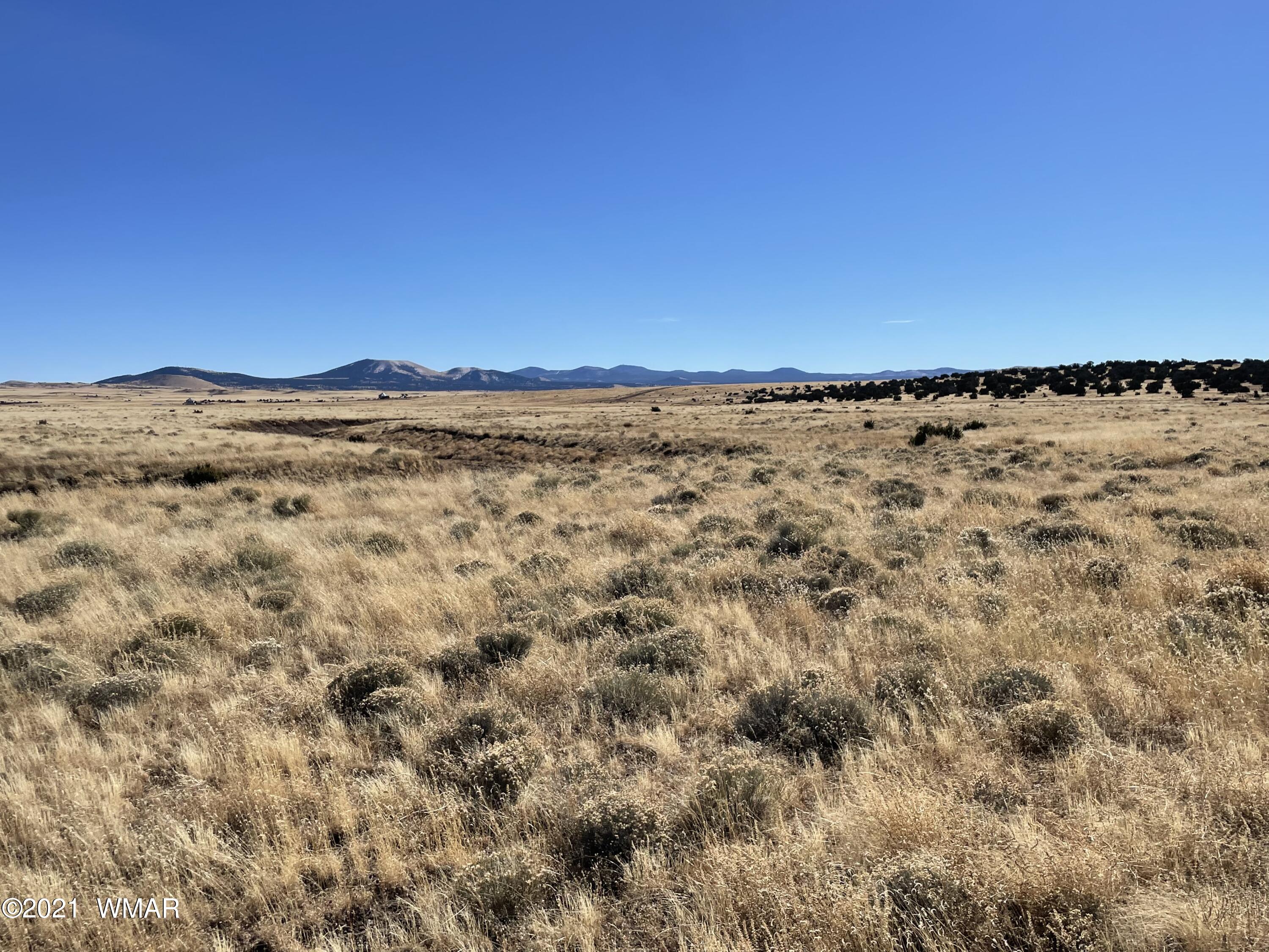 Apn-146 Apn-146 Lakeview Ranch, Unit 3 Concho, AZ 85924 - Photo 1 of 10