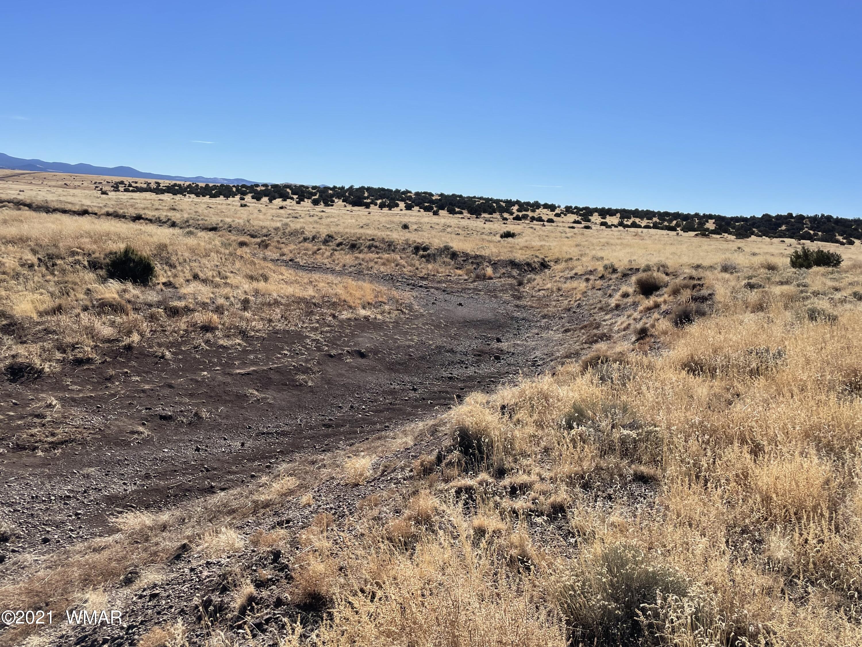 Apn-146 Apn-146 Lakeview Ranch, Unit 3 Concho, AZ 85924 - Photo 2 of 10