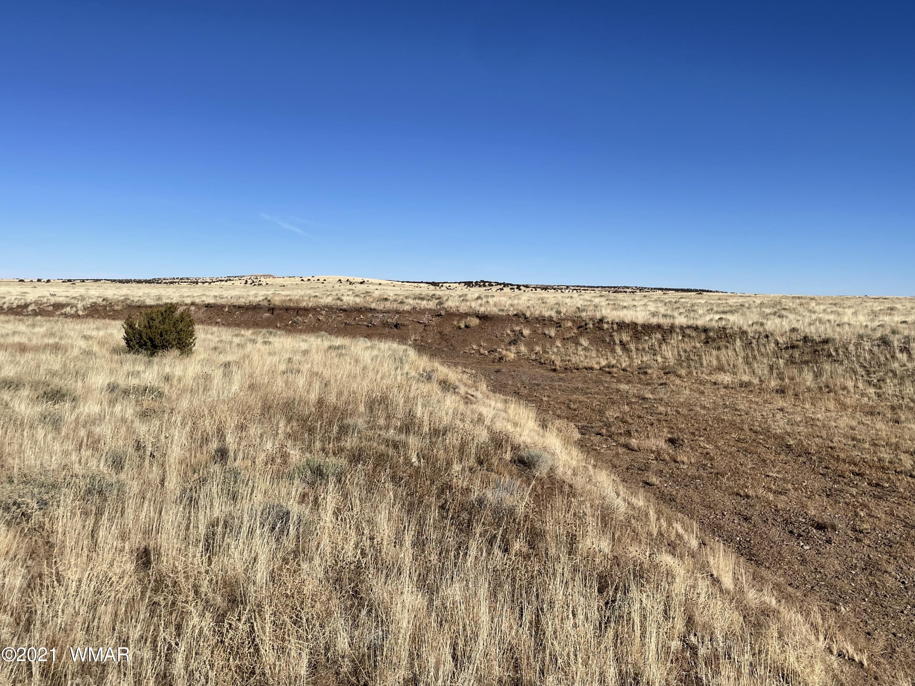 Apn-146 Apn-146 Lakeview Ranch, Unit 3 Concho, AZ 85924 - Photo 4 of 10