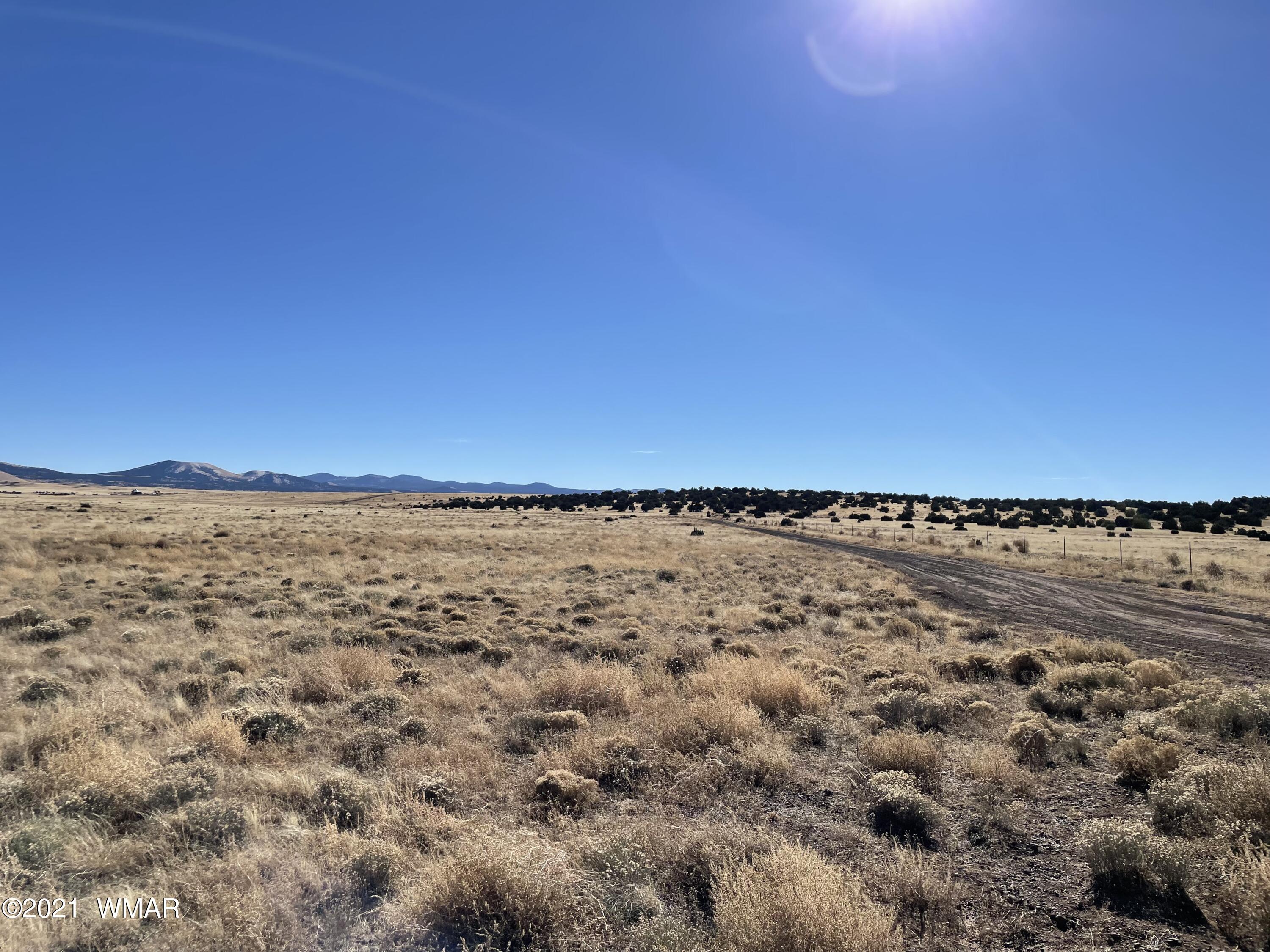 Apn-146 Apn-146 Lakeview Ranch, Unit 3 Concho, AZ 85924 - Photo 8 of 10