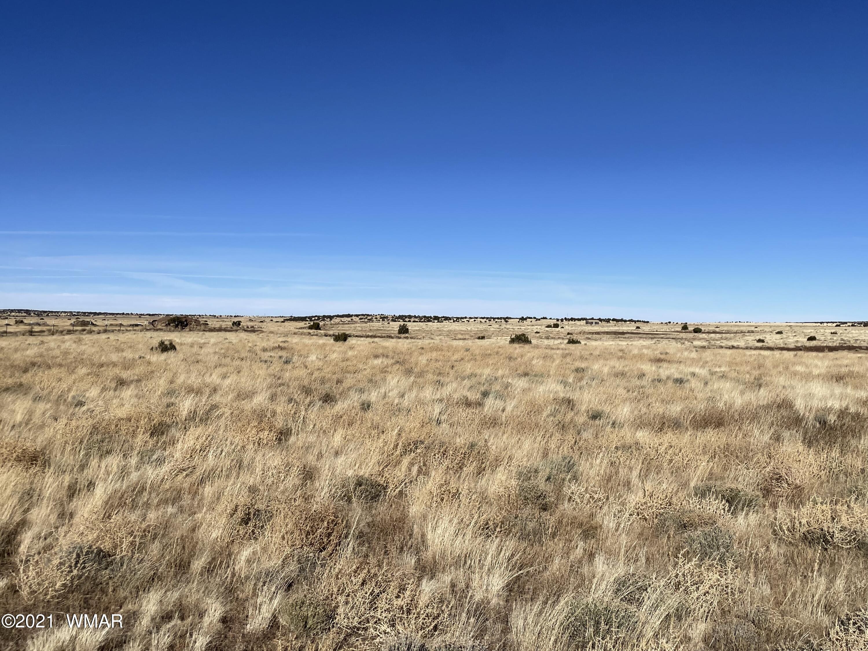 Apn-146 Apn-146 Lakeview Ranch, Unit 3 Concho, AZ 85924 - Photo 9 of 10