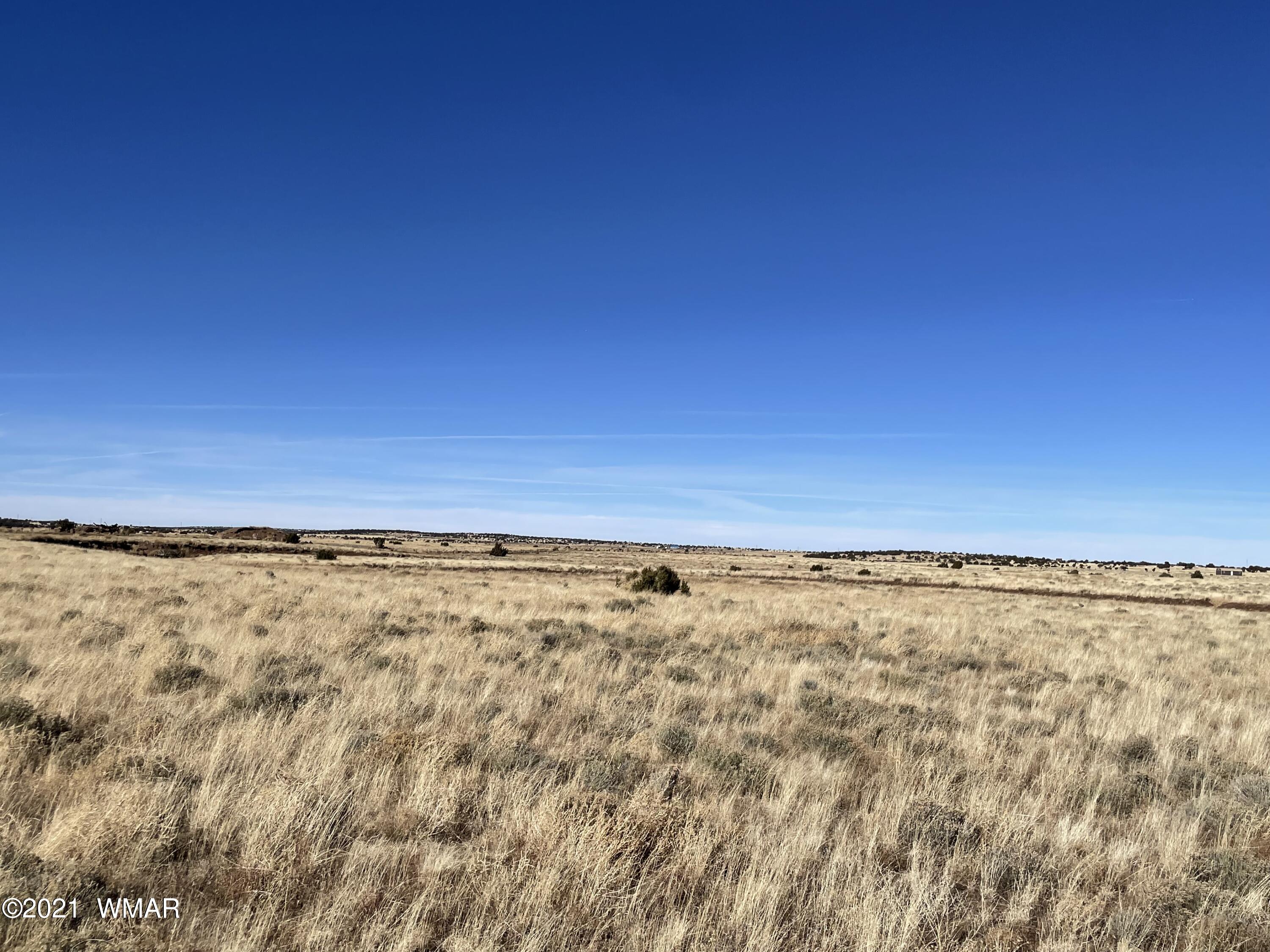 Apn-146 Apn-146 Lakeview Ranch, Unit 3 Concho, AZ 85924 - Photo 10 of 10