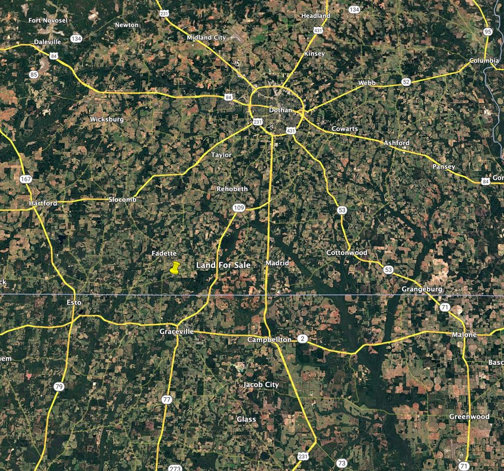 L1 New Hinson Road Slocomb, AL 36375 - Photo 28 of 30
